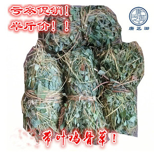 新鲜野生鸡骨草叶 中药材有叶子清火凉茶广东煲汤料 带叶鸡骨草