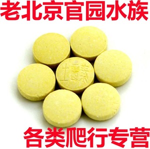 土霉素乌龟宠物龟活体龟 腐皮腐甲肠胃病消毒 养龟常备