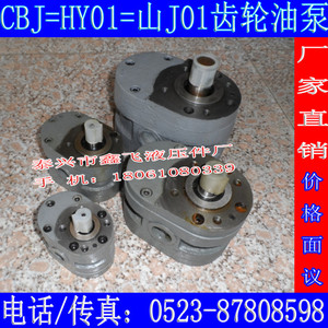 杭州M7130H平面磨床润滑油泵G机床300毫米桂北卧轴矩台齿轮油泵D