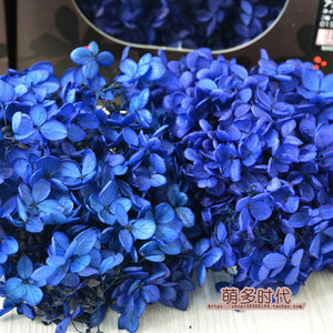 进口日本大地农园绣球1510661 保鲜花diy花材永生花 宝蓝色藏蓝色