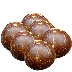 包邮海南老椰王6个/椰皇/去皮老椰子王/抛光椰子/吃椰肉/做椰饭