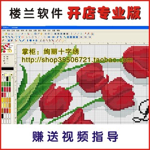 楼兰十字绣 照片图片转十字绣软件 diy十字绣图纸设计 专业软件