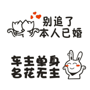 别追了本人已婚 车主单身名花无主车贴 汽车贴纸个性车贴