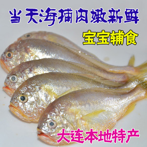 大连特产大头宝新鲜海鱼应季海鲜鲜活水产品冰鲜鱼类宝宝辅食
