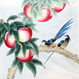 无落款纯手绘真迹精品国画客厅装饰花鸟 四尺斗方工笔寿桃桃子图2