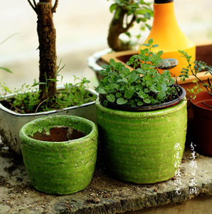 惊爆花园桌面田园风格草绿色冰裂纹中温色釉多肉植物粗陶花盆