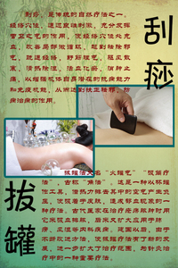 0 提供该品淘宝同款的多种货源指数分析,用于选品,进货,定价等决策