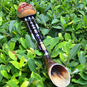 大牛角 精制专业演奏葫芦丝c调降b调乐器 黑檀镶孔葫芦丝三音