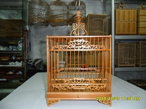 灰燕鸟笼老竹