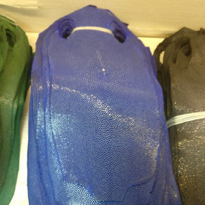 泰国磨面珍珠鱼魔鬼鱼diy特种珍惜皮料