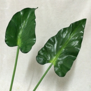 花花世界 单片马蹄莲叶 过胶手感叶滴水观音叶红掌叶仿真花