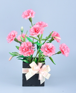 丝网花小盆康乃馨diy套包 丝花霏花手工材料包 专业教程指导