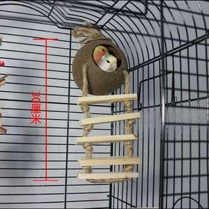 小鸟窝鸟巢鸟屋鹦鹉窝椰子壳窝爬梯虎皮牡丹太平洋横斑鸟玩具防咬