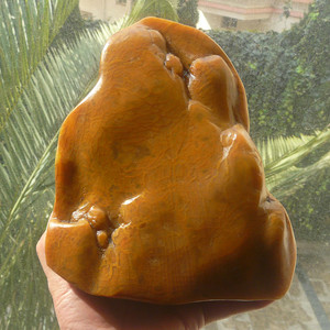 00同款货源幽静如兰87淘宝金丝玉原石新疆黄玉石戈壁料雕刻料彩玉