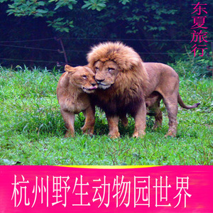 【自动出票】杭州野生动物园门票 富阳野生动物世界成人票/电子票