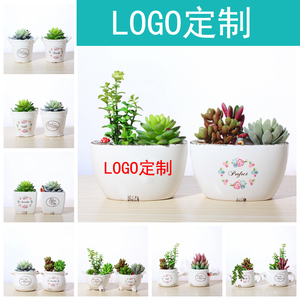 陶瓷花盆logo定制创意花器zakka多肉花盆 迷你桌面盆栽仿搪瓷花盆