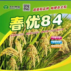 杂优水稻种子