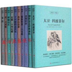 双语名著书籍套装全10册 大卫科波菲尔/钢铁是怎样炼成的/了不起的盖茨比/安娜卡列尼娜/复活 读名著·学英语书籍 中文版+英文版