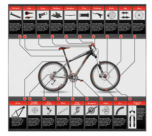自行车构造 山地车组装元素单车零部件信息图 AI格式矢量设计素材