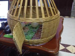 鹧鸪鸟笼子 鸟笼竹手工编织鸟笼 竹鸡笼