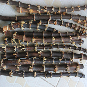 竹根 竹鞭 烟斗diy耗材 竹条 烟斗柄 竹节烟斗 烟斗紫竹鞭竹条