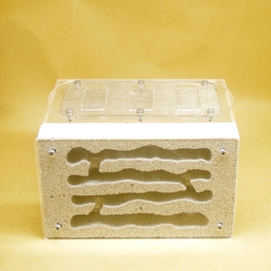 大后院仿生石膏巢|活体宠物蚂蚁工坊城堡部落王国家园蚁巢蚂蚁窝