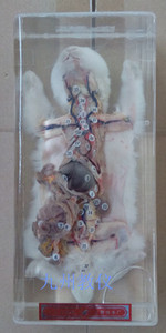 兔解剖浸制标本 j4105 初中,高中生物标本实验器材 教学仪器