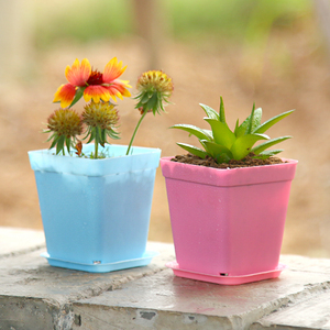 简约塑料大口径多肉植物小盆创意阳台种菜盆组合花卉盆栽花盆托盘