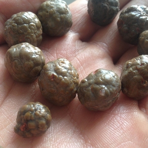 新疆戈壁玛瑙阿拉善龟背玛瑙,奇石原石,宝石10颗价格100元