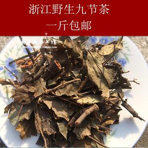 浙江野生草珊瑚 肿节风 九节茶 九节风 九爪龙250克 一斤包邮