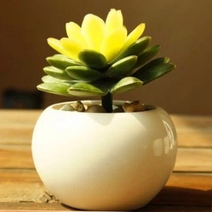 爆款时尚桌面欧式白瓷创意圆球形多肉陶瓷小花卉迷你可爱个性花盆