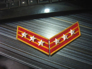 好品58式上校大衣领章