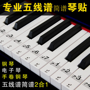 钢琴键盘贴纸88键61键透明电子琴手卷钢琴键贴五线谱简谱包邮