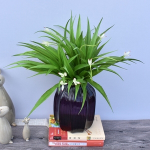 仿真大支兰花草吊兰草盆栽盆景酒店商场装饰花绿植植物墙插花花材