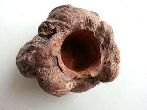 天然松树瘤 根雕摆件造型古朴 可当花插 笔筒 摆件观赏根雕