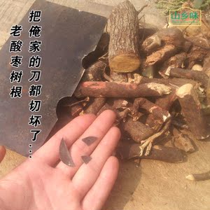 【两份包邮】野生老酸枣树根 山枣树根 深山自挖/手工切晒 500g