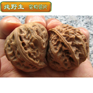 文玩核桃 东北野生楸子 精品异形 阴阳鱼 鹰嘴 佛肚秋子核桃 q 21