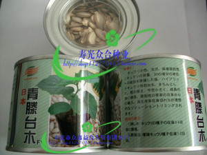 蔬菜种子 日本进口砧木种子：青藤台木（黄瓜嫁接）600粒罐装