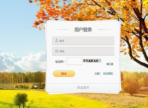 javaweb毕业设计|便宜出售一个web视频播放视频|软件开发网站仁寿殿图片