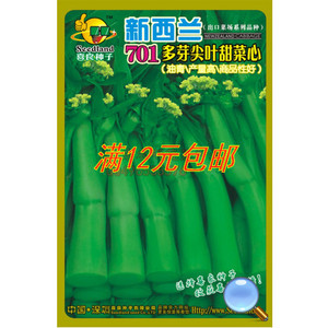 菜心种子 新西兰701柳叶菜心种子 原厂彩袋包装500克装高产图片