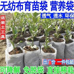 育苗袋小号塑料装黑m色培植果苗种花无纺降无解土可纺布袋免脱加