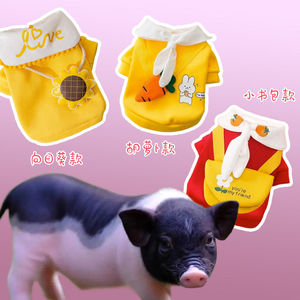 小香猪衣服保暖秋冬季专用宠物猪穿的可爱衣服泰国网红迷你猪用品