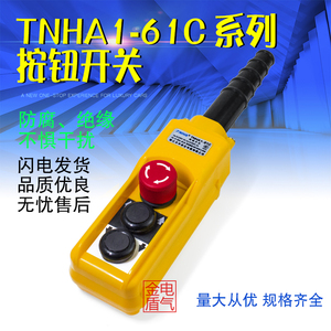 TNHA1-61C 61CSq 行车B关 CO  防雨起重机按钮控制站开带急停双速