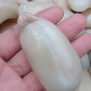 新鲜墨鱼蛋宁波野生墨鱼r蛋500g大白蛋东海乌贼蛋目鱼蛋乌鱼蛋汤
