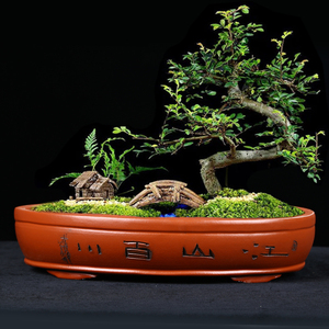 陶土花盆长方形盆景盆大号客厅创意直经60厘米假山植物紫砂陶瓷盆