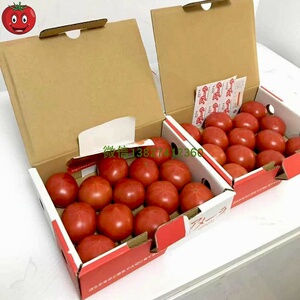 静冈番茄品种高糖度番茄西红柿水果新鲜酸甜孕妇水果2斤1盒装
