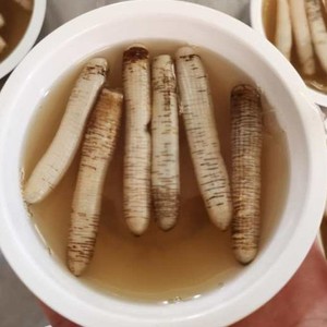 福建特产海鲜沙虫土笋冻生鲜即食小吃鲜甜爽滑12碗 顺丰包邮