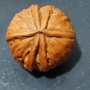 六棱核桃文玩核桃异形核桃一图一物