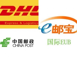 DHL单号E邮宝EMS中国邮政小包EUB虚拟单号速卖通亚马逊eBay发货
