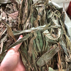 【七星丹】七星丹品牌,价格 - 阿里巴巴